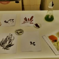 56 - Gustavo Souza dos Santos